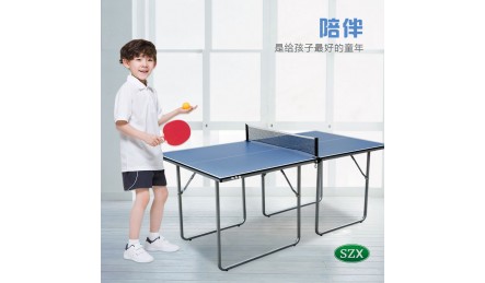 迷你mini型室內(nèi)乒乓球桌