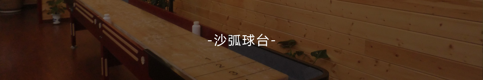 沙弧球臺(tái)