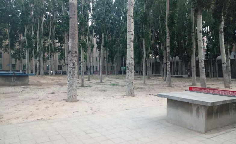 還記得上學那會水泥乒乓球臺嗎？